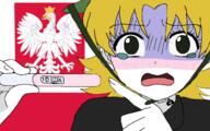 anime blonde_hair card hair helmet poland poly_(user) pregnancy_test shirt shocked turtleneck yellow_hair // 1280x801 // 626KB