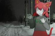 arm cat_ears clothes IRL night skirt snow sweater tail tama text tree // 736x488 // 316KB