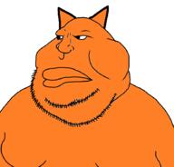 autism cat fat ginger large_lips red_fur red_hair stubble unbothered_aryan variant:meximutt // 888x849 // 23KB